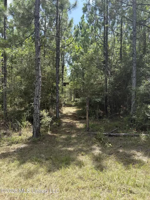 259 Forest Lake Rd, Beaumont, MS 39423 photo 18