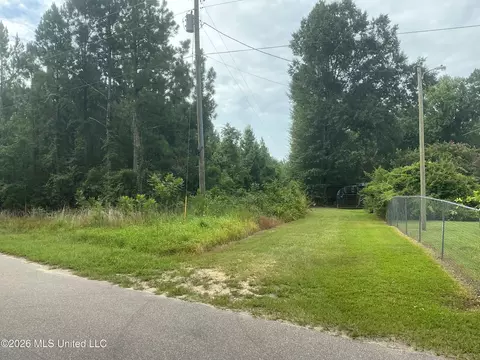 259 Forest Lake Rd, Beaumont, MS 39423 photo 6