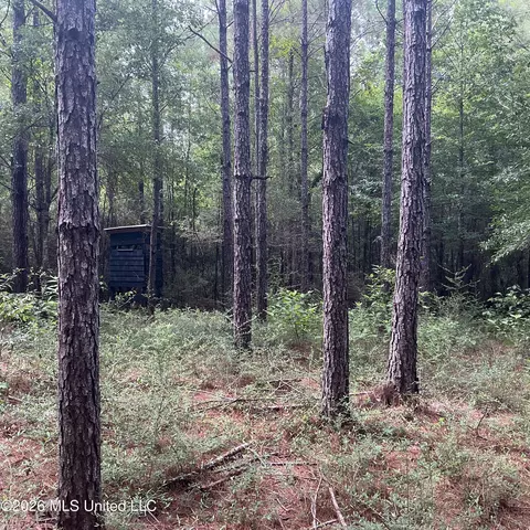 259 Forest Lake Rd, Beaumont, MS 39423 photo 17