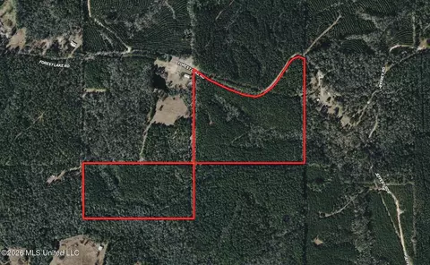 259 Forest Lake Rd, Beaumont, MS 39423 photo 2