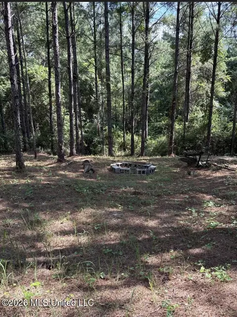 259 Forest Lake Rd, Beaumont, MS 39423 photo 10