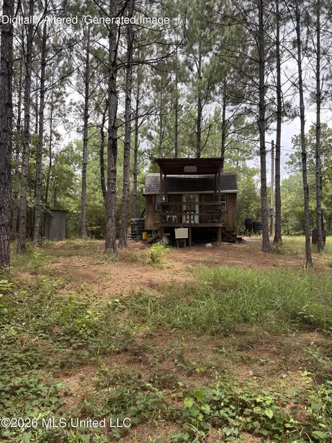 259 Forest Lake Rd, Beaumont, MS 39423 photo 7
