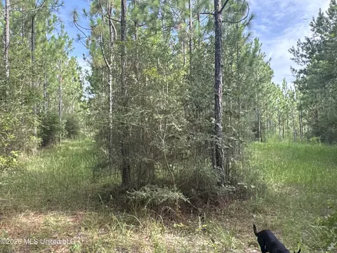 259 Forest Lake Rd, Beaumont, MS 39423 photo 19