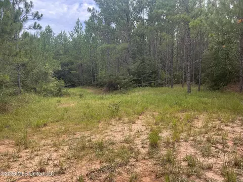 259 Forest Lake Rd, Beaumont, MS 39423 photo 20