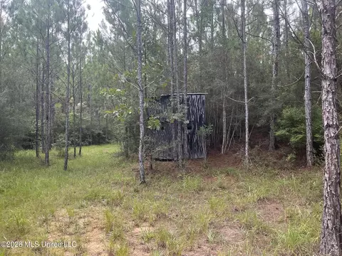 259 Forest Lake Rd, Beaumont, MS 39423 photo 15