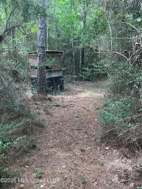 259 Forest Lake Rd, Beaumont, MS 39423 photo 14