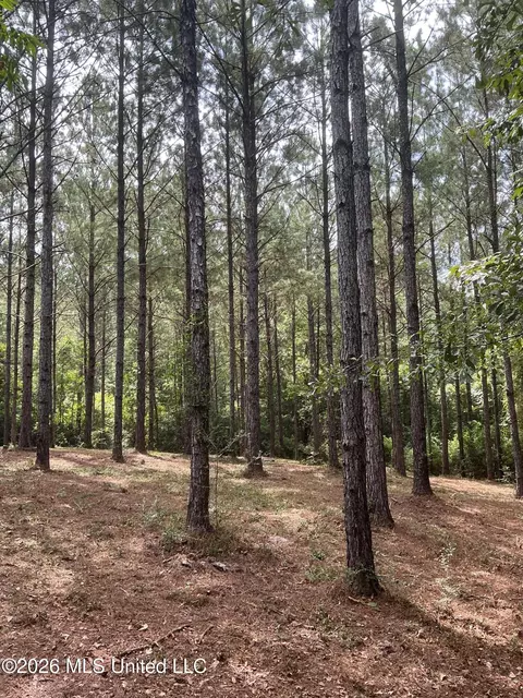 259 Forest Lake Rd, Beaumont, MS 39423 photo 11