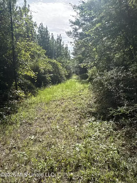 259 Forest Lake Rd, Beaumont, MS 39423 photo 21