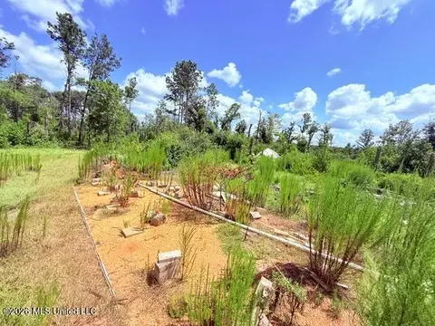 261 E Salem Rd, Tylertown, MS 39667 photo 19