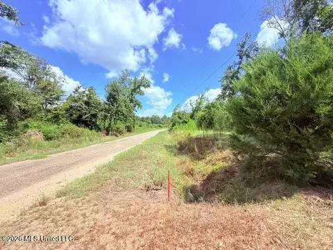 261 E Salem Rd, Tylertown, MS 39667 photo 2