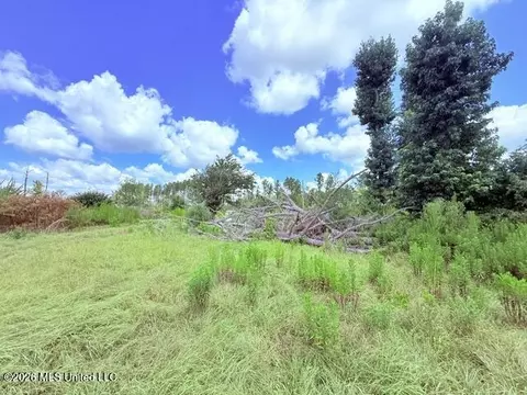 261 E Salem Rd, Tylertown, MS 39667 photo 28