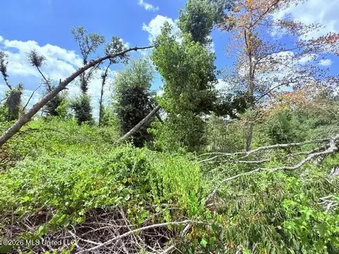 261 E Salem Rd, Tylertown, MS 39667 photo 12