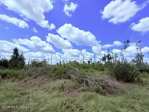 261 E Salem Rd, Tylertown, MS 39667 photo 25