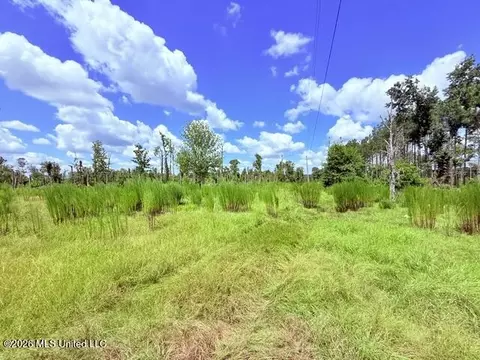 261 E Salem Rd, Tylertown, MS 39667 photo 16