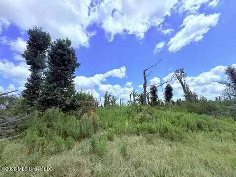 261 E Salem Rd, Tylertown, MS 39667 photo 27