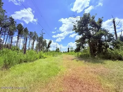 261 E Salem Rd, Tylertown, MS 39667 photo 8