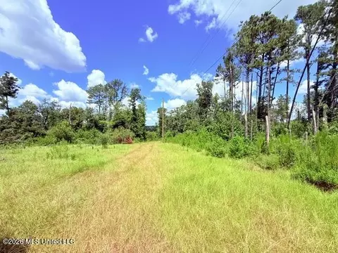 261 E Salem Rd, Tylertown, MS 39667 photo 7