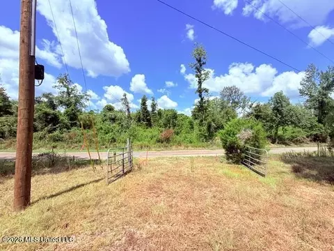 261 E Salem Rd, Tylertown, MS 39667 photo 6