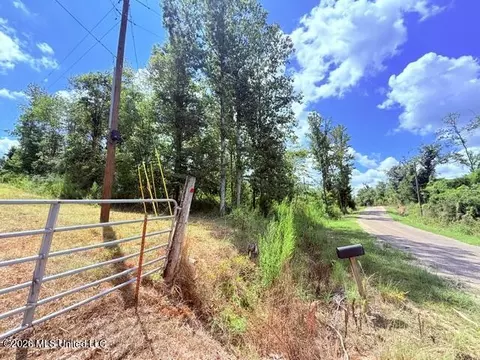 261 E Salem Rd, Tylertown, MS 39667 photo 3