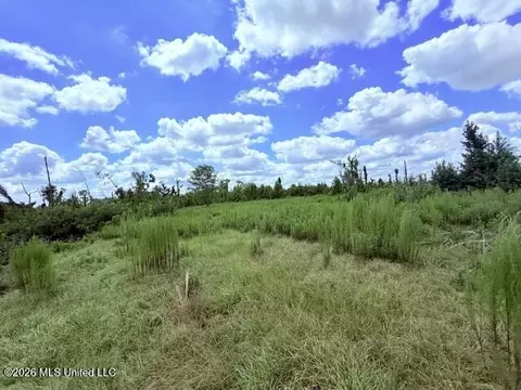 261 E Salem Rd, Tylertown, MS 39667 photo 26