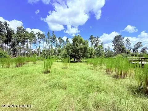 261 E Salem Rd, Tylertown, MS 39667 photo 15