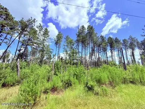 261 E Salem Rd, Tylertown, MS 39667 photo 9
