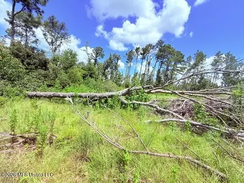 261 E Salem Rd, Tylertown, MS 39667 photo 14