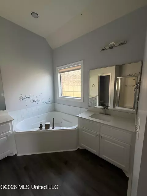 Bath - 202 Tradition Cv, Flowood, MS 39232 photo 5 of 6