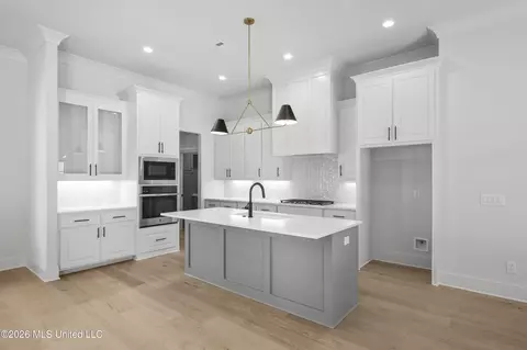 Other - 109 Millbridge Dr, Madison, MS 39110 photo 1 of 10