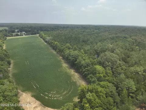 00 Hwy 6, Pontotoc, MS 38863 photo 7