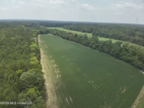 00 Hwy 6, Pontotoc, MS 38863 photo 5