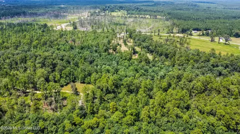 286 Matthew Johnson Rd, Wiggins, MS 39577 photo 8