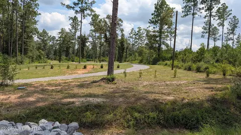 286 Matthew Johnson Rd, Wiggins, MS 39577 photo 12
