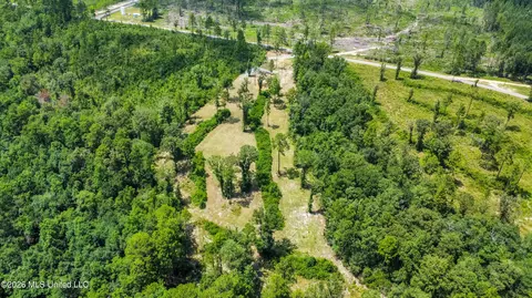 286 Matthew Johnson Rd, Wiggins, MS 39577 photo 9