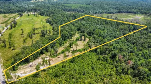 286 Matthew Johnson Rd, Wiggins, MS 39577 photo 3