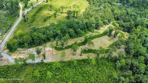 286 Matthew Johnson Rd, Wiggins, MS 39577 photo 10