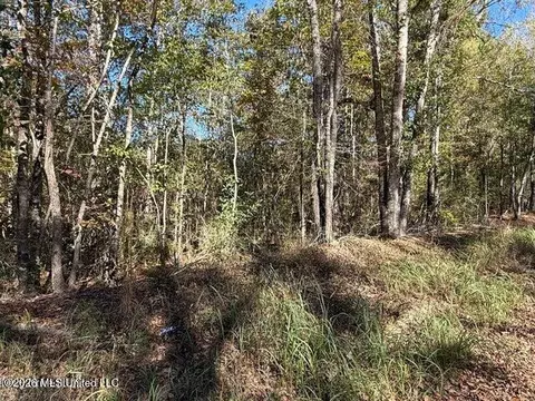 6 25ac Knob Town Rd, State Line, MS 39362 photo 2