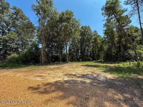 2038 N River Rd, Summit, MS 39666 photo 28