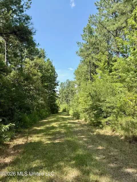 Storey Parkman, Oak Vale, MS 39656 photo 17