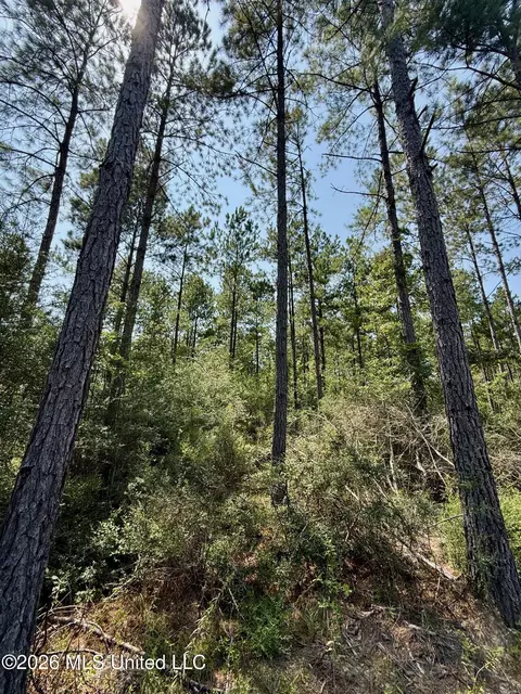 Storey Parkman, Oak Vale, MS 39656 photo 22
