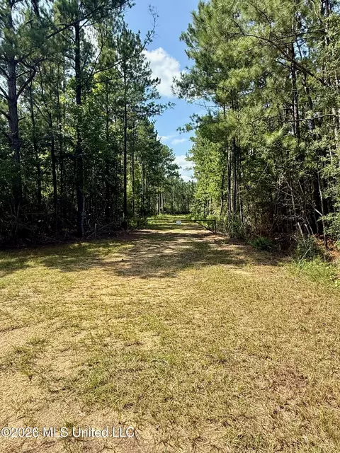 Storey Parkman, Oak Vale, MS 39656 photo 12