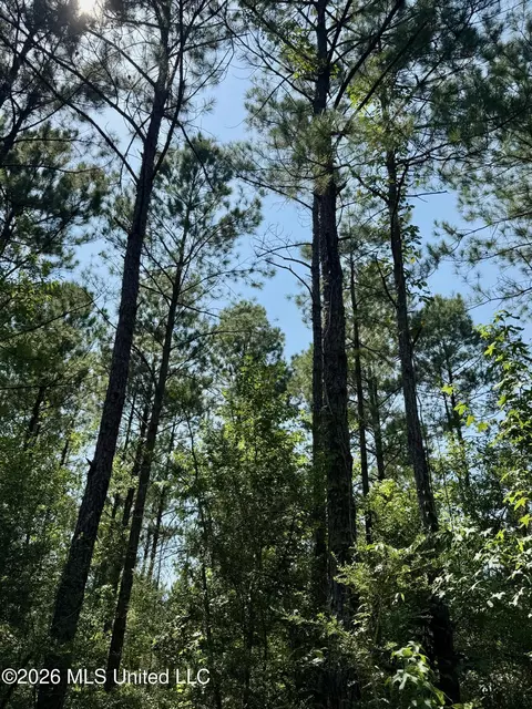 Storey Parkman, Oak Vale, MS 39656 photo 25