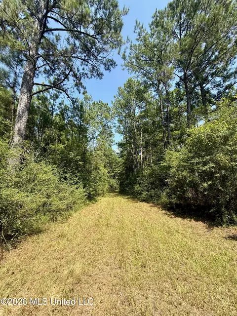 Storey Parkman, Oak Vale, MS 39656 photo 11