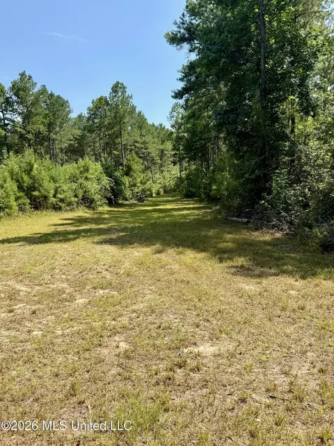 Storey Parkman, Oak Vale, MS 39656 photo 18