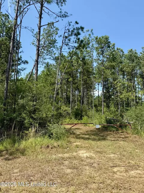 Storey Parkman, Oak Vale, MS 39656 photo 29