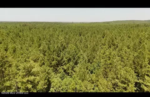 Storey Parkman, Oak Vale, MS 39656 photo 27