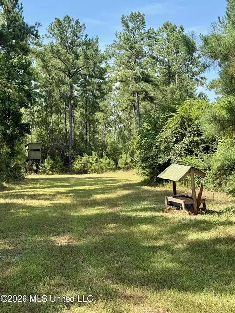 Storey Parkman, Oak Vale, MS 39656 photo 7