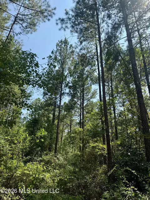 Storey Parkman, Oak Vale, MS 39656 photo 31