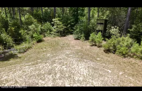 Storey Parkman, Oak Vale, MS 39656 photo 6