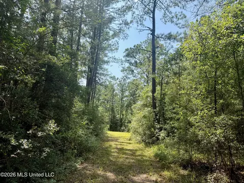Storey Parkman, Oak Vale, MS 39656 photo 26